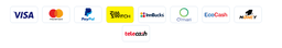 PayNow